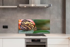 Panel Kuchenny Szklany Samotny Motyl w Locie