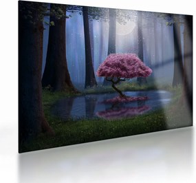 Obraz na szkle - Magiczna noc (70x50 cm)