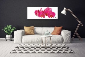 Obraz na płótnie Romantyczna Flora Ogrodowa