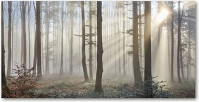 Foto obraz szkło akryl Mgła w lesie