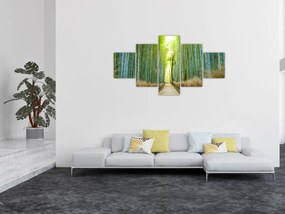 Obraz - Alejka z bambusami (125x70 cm)