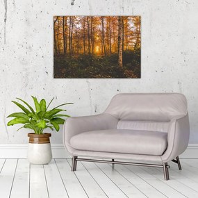 Obraz jesiennego lasu (70x50 cm)
