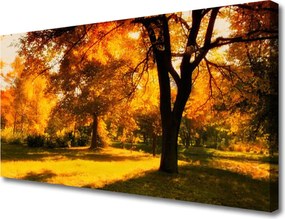 Obraz canvas Złota Jesień w Lesie