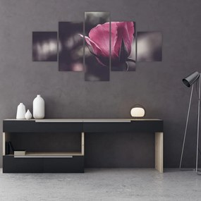 Obraz - Detal kwiatu róży (125x70 cm)