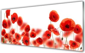 Szkło Dekoracyjne do Kuchni Pole Czerwonych Maków
