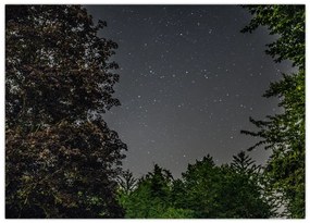 Obraz nocnego nieba (70x50 cm)