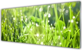 Panel nad blat kuchenny Szum Zielonych Traw