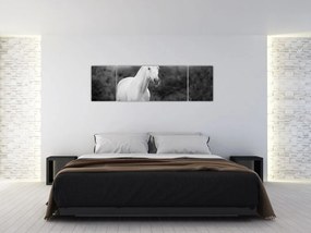 Obraz białego konia na łące, czarno - biały (170x50 cm)