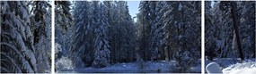 Obraz śnieżnego lasu (170x50 cm)
