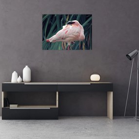 Obraz na szkle - Flaming (70x50 cm)