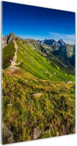 Fotoobraz szklany na ścianę do salonu Tatry