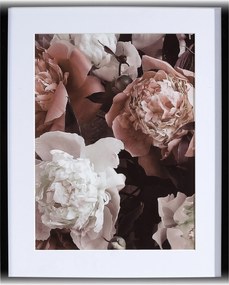 Obraz Peony Sunset II 40x50cm