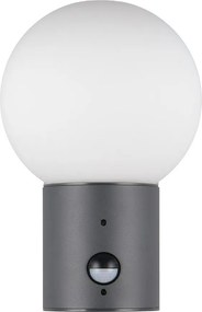 Lampa zewnętrzna ścienna z czujnikiem ruchu ø 18 cm Mures – Trio