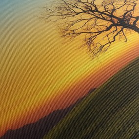 Obraz drzewa na polu (125x70 cm)