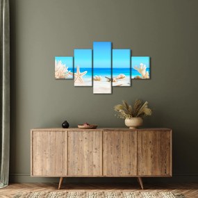 Obraz - Martwa natura z muszelkami (125x70 cm)