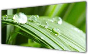 Szkło do Kuchni na Ścianę Kropla Rosy W Makrofotografii