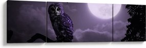 Obraz - Nocna sowa, fioletowy (170x50 cm)