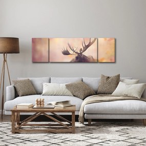 Obraz - Las w jesiennych liściach (170x50 cm)