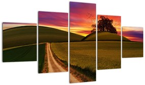 Obraz pola z zachodem słońca (125x70 cm)