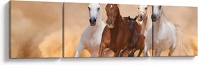 Obraz - Stado koni (170x50 cm)
