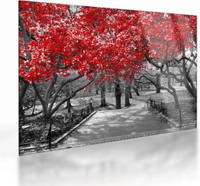 Obraz na szkle - Czerwone drzewa, Central Park, New York (70x50 cm)