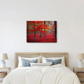 Obraz - Czerwony Las (70x50 cm)