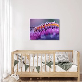 Obraz na szkle - Caterpillar (70x50 cm)