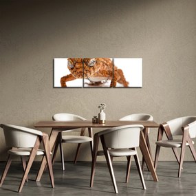 Obraz jaszczurki (z zegarem) (90x30 cm)