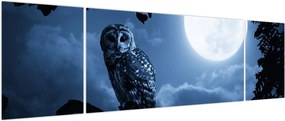 Obraz - Nocna Sowa (170x50 cm)