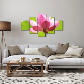 Obraz kwiatu lotosu (125x70 cm)