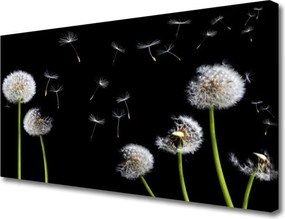 Zdjęcie na płótnie Puszysty Mniszek Lekarski