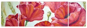 Obraz - Kwiaty maku (170x50 cm)