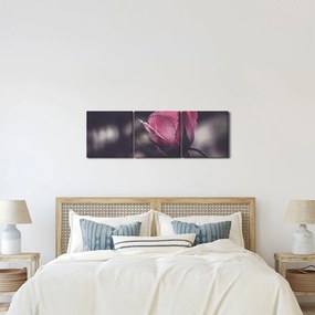 Obraz - Detal kwiatu róży (z zegarem) (90x30 cm)