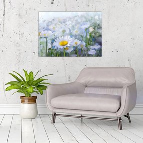 Obraz na szkle - W stokrotkach (70x50 cm)