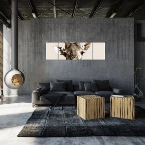 Obraz - Portret żyrafy, vintage (170x50 cm)