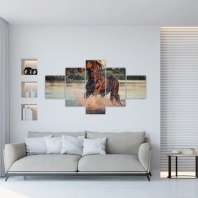Obraz - Biegnący koń (125x70 cm)