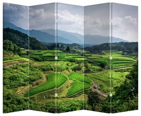 Parawan - Pole ryżowe (210x170 cm)