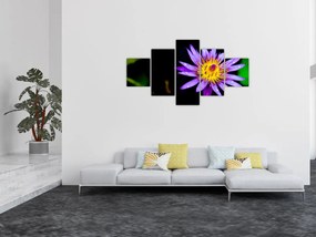 Obraz kwiatu (125x70 cm)