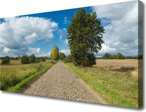Obraz na płótnie Wiejska Droga z Kostki