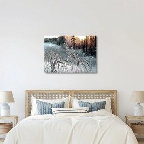 Obraz na szkle - Frozen Meadow (70x50 cm)