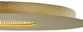 Nowoczesna lampa sufitowa złota 60 cm z wbudowaną diodą LED z 3-stopniową regulacją ściemniania - Morning Nowoczesny Oswietlenie wewnetrzne