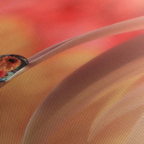 Obraz kwiecistej kropli rosy (125x70 cm)