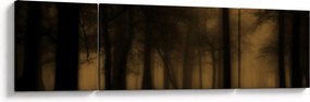 Obraz - Ciemny las (170x50 cm)