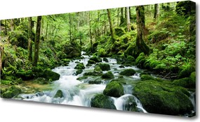 Obraz canvas Szumiący Potok w Gęstwinie Lasu