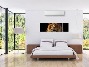 Obraz - Lew z bogatą grzywą (170x50 cm)