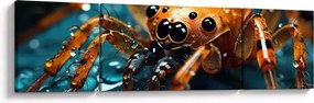 Obraz - Szczegół pająka (170x50 cm)