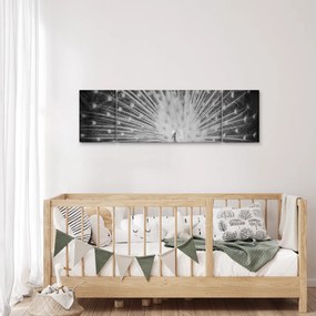 Obraz - Biały paw (170x50 cm)