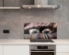 Panel Kuchenny Szklany Słodki Sen Zmęczonych Psów