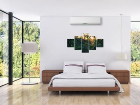 Obraz słońca przeświecającego przez gałęzie drzew (125x70 cm)