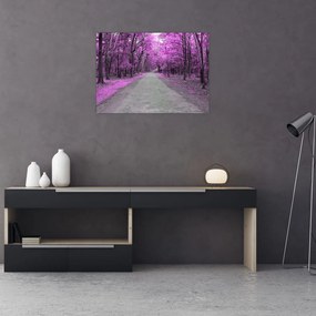 Obraz na szkle - Ścieżka przez park (70x50 cm)
